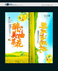 油菜花