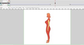 女人人体模型温度升降示意图