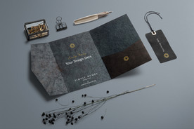 全套黑色VI样机一键贴图