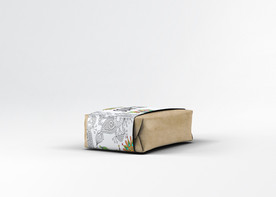 牛皮纸粽子包装样机