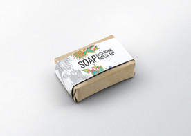 纸箱样机效果图高档