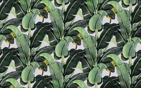 芭蕉叶无缝壁画背景墙