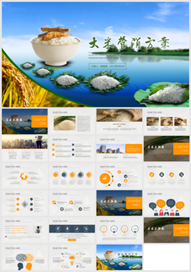 农业生产粮食作物水稻谷物PPT