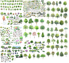 园林植物分层彩图