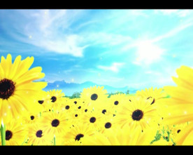 向日葵背景大屏