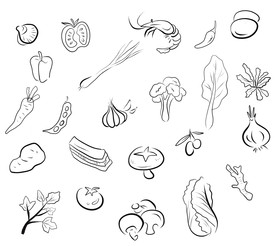 手绘蔬菜