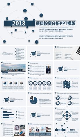 简约项目投资分析PPT模版