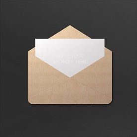 高档通用完整VI样机图片