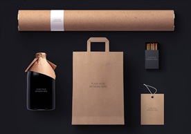 高档通用VI信封样机图片