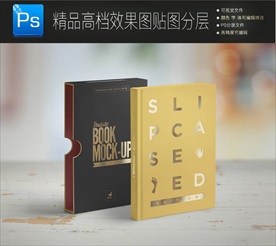 画册智能示样机分层效果图图片