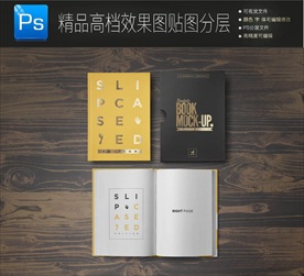 画册智能示样机分层效果图图片