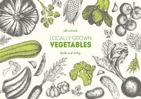 手绘有机蔬菜矢量背景墙
