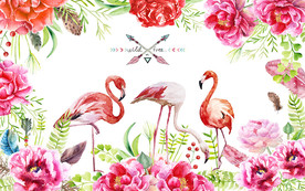手绘火烈鸟时尚背景墙