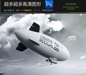 航空公司客机VI应用飞机样机