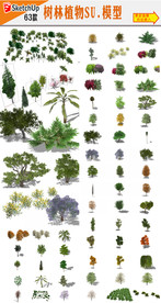 园林灌木SU模型素材