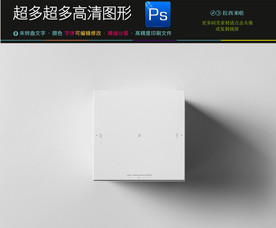 空白样品盒子样机效果图