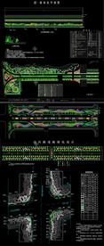 园林道路绿化带图纸