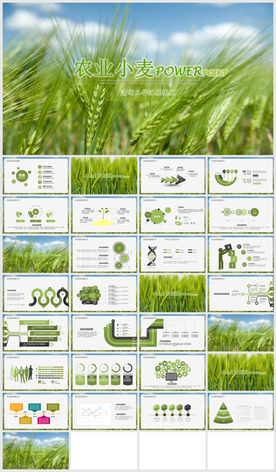 绿色农业种植科技粮食作物生产