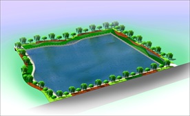 池塘绿化效果图