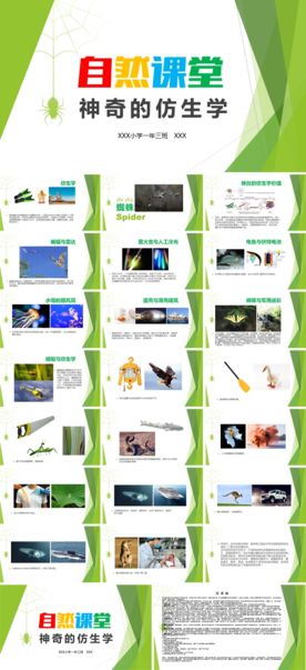 仿生学教案PPT自然课堂