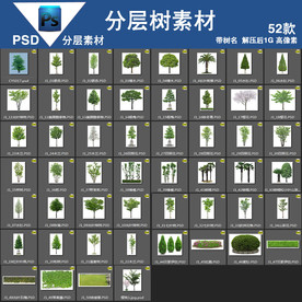 52款psd树分层高清带树名