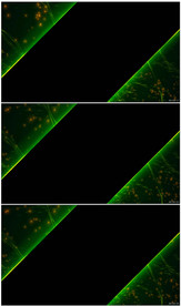 边框相册展示新闻包装背景素材
