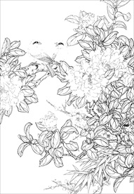 茶花 白描 素描 线描 国画