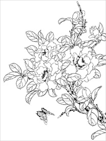 茶花 白描 素描 线描 国画