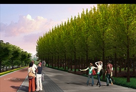道路绿化效果图