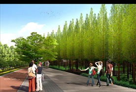 道路绿化效果图