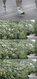 俊男美女公园晨跑