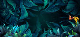 绿叶 清新 草 背景