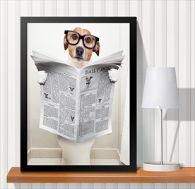 宠物海报  宠物店 宠物医院