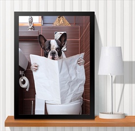 宠物海报  宠物店 宠物医院