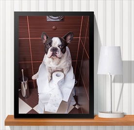 宠物海报  宠物店 宠物医院