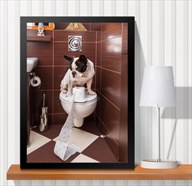 宠物海报  宠物店 宠物医院