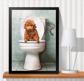 宠物海报  宠物店 宠物医院