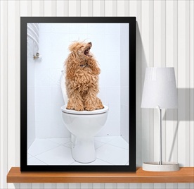 宠物海报  宠物店 宠物医院