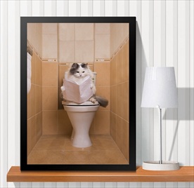 宠物海报  宠物店 宠物医院