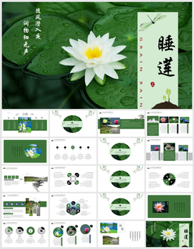 清新莲风格商务计划工作PPT