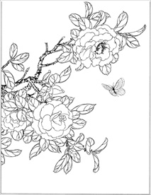 茶花线描 茶花白描 茶花素描