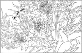 芙蓉花线描 芙蓉花白描 芙蓉花