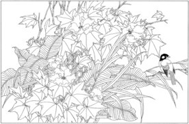 芙蓉花线描 芙蓉花白描 芙蓉花