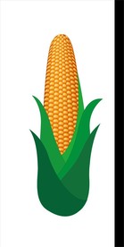 卡通矢量玉米