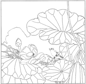 荷花线描 荷花白描 荷花素描