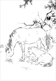 骏马线描 骏马白描 骏马素描