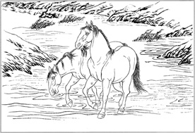 骏马线描 骏马白描 骏马素描