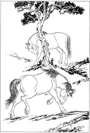 骏马线描 骏马白描 骏马素描