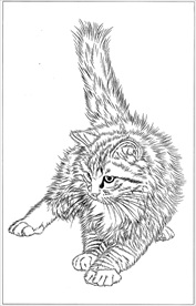 猫咪线描 猫咪白描 猫咪素描