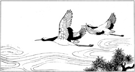 仙鹤线描 仙鹤白描 仙鹤素描